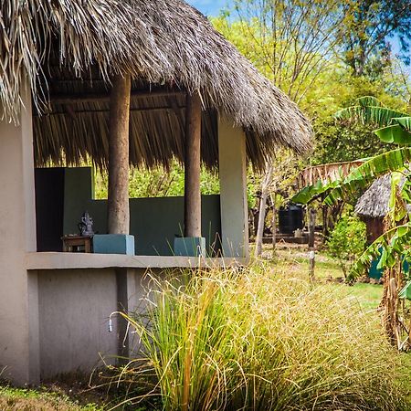 Coco Loco Eco-Resort Gemastepe Zewnętrze zdjęcie