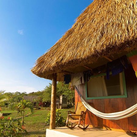 Coco Loco Eco-Resort Gemastepe Zewnętrze zdjęcie