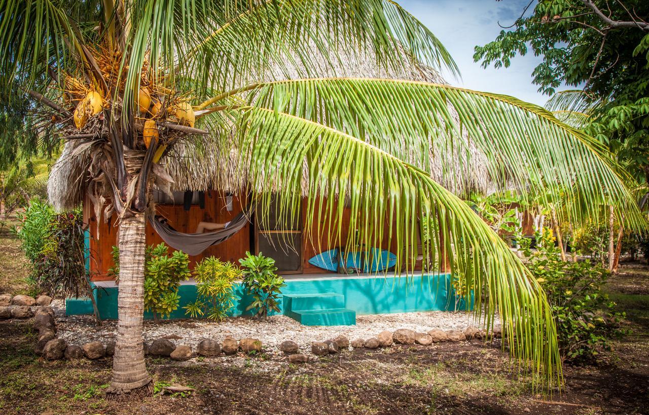 Coco Loco Eco-Resort Gemastepe Zewnętrze zdjęcie